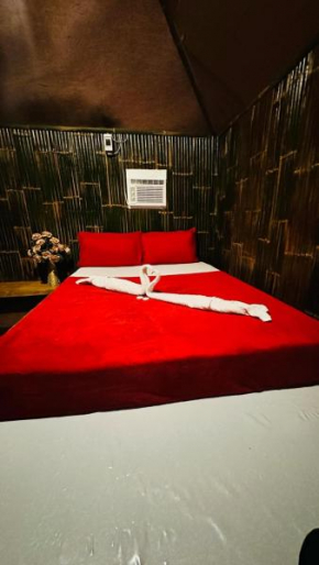 Red Palm Inn - Kubo room with wifi